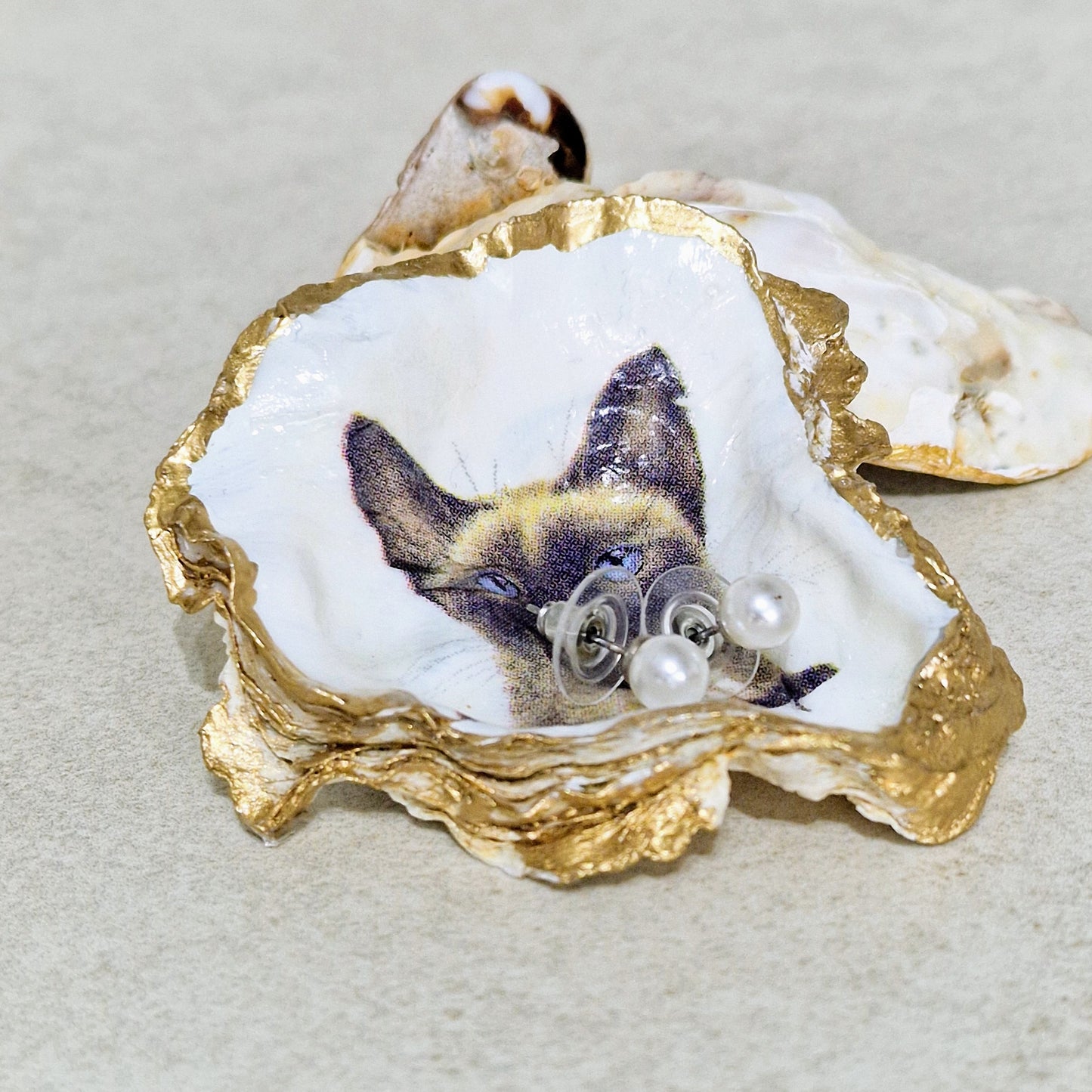 Siamese Cat Kitten Oyster Shell Trinket Dish